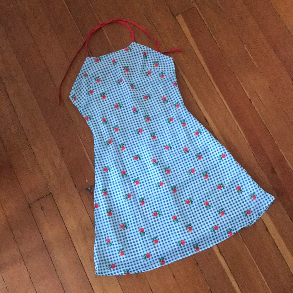 Vintage Women’s Dress Blue Gingham Red Roses US S